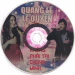 Quang Lê, Lệ Quyên - Không Phải Tại Chúng Mình